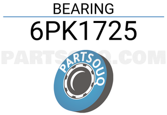 SKF 6PK1725 BEARING
