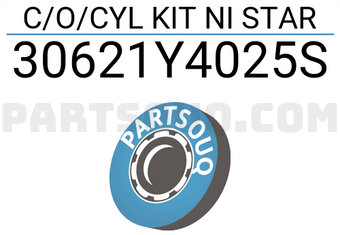 STAR 30621Y4025S C/O/CYL KIT NI STAR