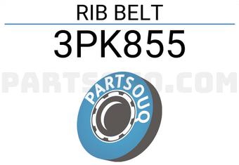 SUN 3PK855 RIB BELT