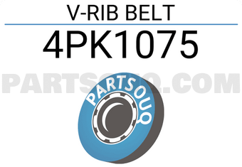 SUN 4PK1075 V-RIB BELT