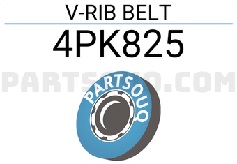 SUN 4PK825 V-RIB BELT