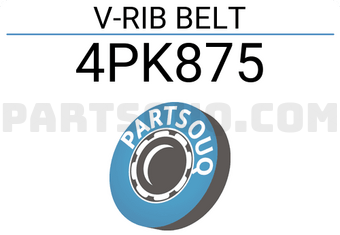 SUN 4PK875 V-RIB BELT