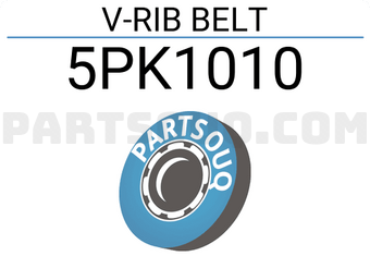 SUN 5PK1010 V-RIB BELT