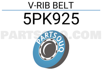 SUN 5PK925 V-RIB BELT