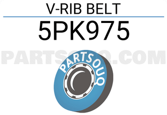 SUN 5PK975 V-RIB BELT