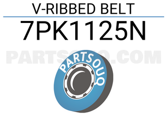 SUN 7PK1125N V-RIBBED BELT
