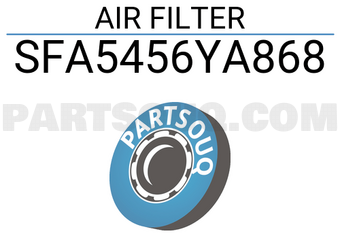 Sure SFA5456YA868 AIR FILTER