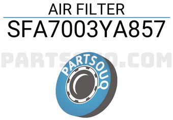 Sure SFA7003YA857 AIR FILTER