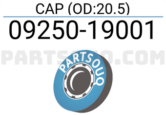 Suzuki 0925019001 CAP (OD:20.5)