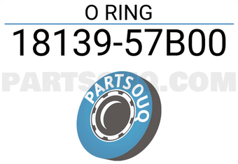 Suzuki 1813957B00 O RING
