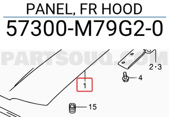 Suzuki 57300M79G20 PANEL, FR HOOD