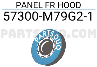 Suzuki 57300M79G21 PANEL FR HOOD