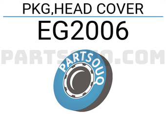 TAYEN EG2006 PKG,HEAD COVER