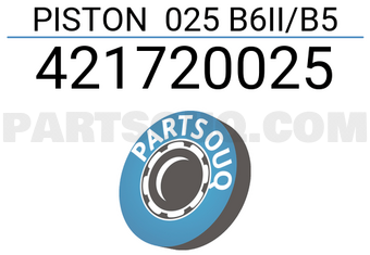 TEIKIN 421720025 PISTON SET 025 B6II/B5 (SET OF 1)