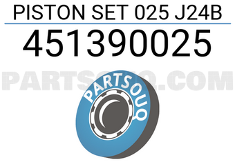 TEIKIN 451390025 PISTON SET 025 J24B (SET OF 1)