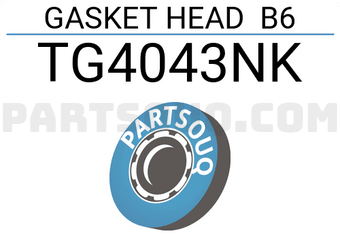 TEIKIN TG4043NK GASKET HEAD B6 (SET OF 1)