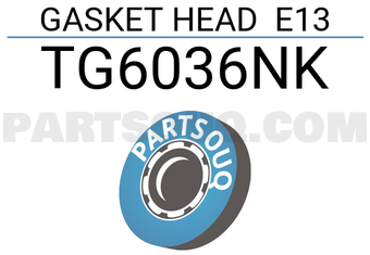TEIKIN TG6036NK GASKET HEAD E13