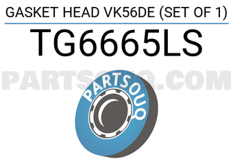 TEIKIN TG6665LS GASKET HEAD VK56DE (SET OF 1)