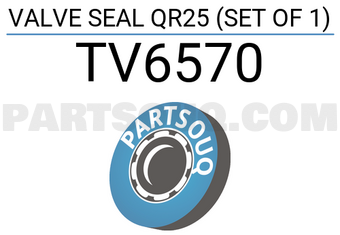TEIKIN TV6570 VALVE SEAL QR25 (SET OF 1)