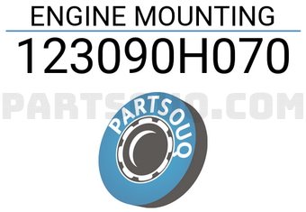 TENACITY 123090H070 ENGINE MOUNTING