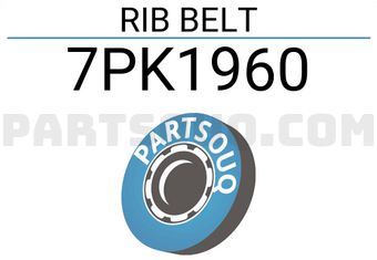 TOP DRIVE 7PK1960 RIB BELT