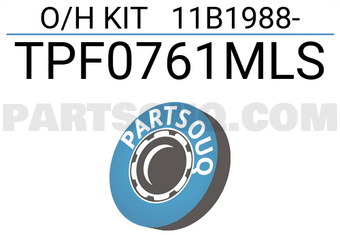 TOP TPF0761MLS O/H KIT 11B1988