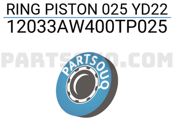 TP 12033AW400TP025 RING PISTON 025 YD22