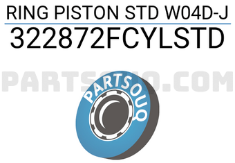 TP 322872FCYLSTD RING PISTON STD W04D-J