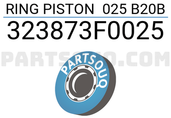 TP 323873F0025 RING PISTON 025 B20B