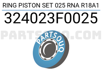 TP 324023F0025 RING PISTON SET 025 RNA R18A1