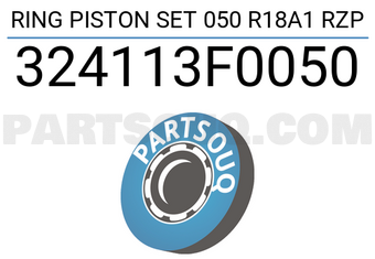 TP 324113F0050 RING PISTON SET 050 R18A1 RZP