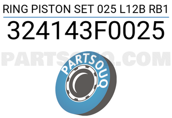 TP 324143F0025 RING PISTON SET 025 L12B RB1
