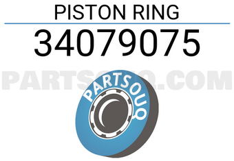 TP 34079075 PISTON RING