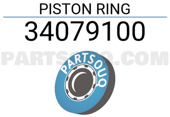TP 34079100 PISTON RING