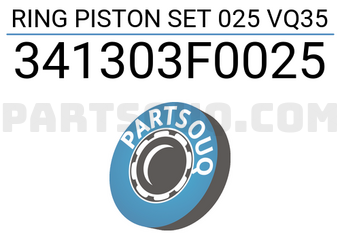 TP 341303F0025 RING PISTON SET 025 VQ35