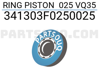 TP 341303F0250025 RING PISTON 025 VQ35