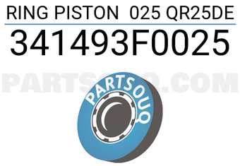 TP 341493F0025 RING PISTON 025 QR25DE