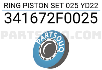 TP 341672F0025 RING PISTON SET 025 YD22