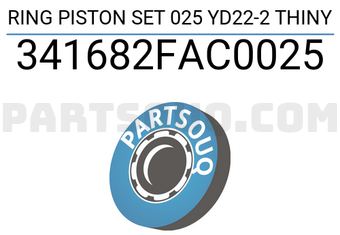 TP 341682FAC0025 RING PISTON SET 025 YD22-2 THINY