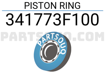 TP 341773F100 PISTON RING
