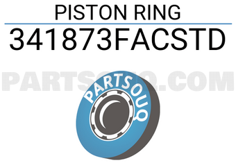 TP 341873FACSTD PISTON RING