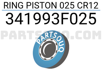 TP 341993F025 RING PISTON 025 CR12