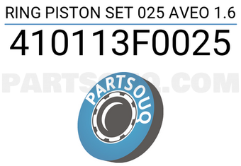 TP 410113F0025 RING PISTON SET 025 AVEO 1.6