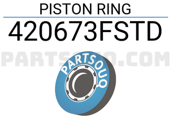 TP 420673FSTD PISTON RING