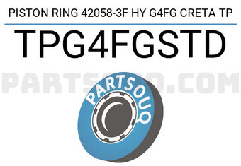 TP TPG4FGSTD SEGMENTO DE PISTÓN 42058-3F HY G4FG CRETA TP