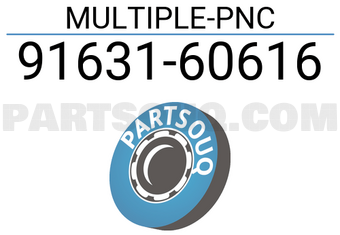 Toyota 9163160616 MULTIPLE-PNC