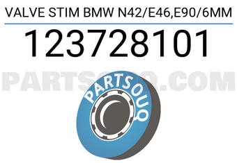 Victor Reinz 123728101 VALVE STIM BMW N42/E46,E90/6MM