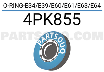 Victor Reinz 4PK855 O-RING-E34/E39/E60/E61/E63/E64