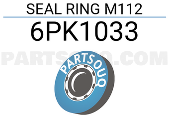 Victor Reinz 6PK1033 SEAL RING M112
