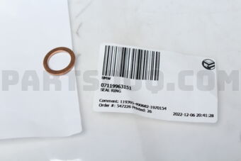 07119963151 SEAL RING